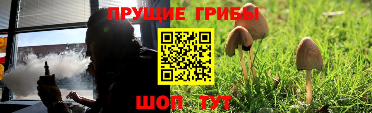 Галлюциногенные грибы Magic Shrooms Шадринск